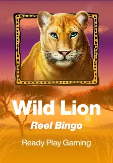 Wild Lion Reel Bingo