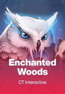 Enchanted Woods
